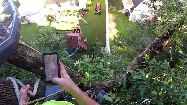 #1( Raw ) That one never ending Java plum job . смотреть онлайн