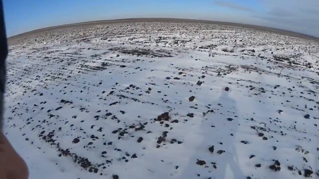 Охота на зайцев - В момент отчаяния....