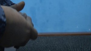 День Вневедомственной охраны