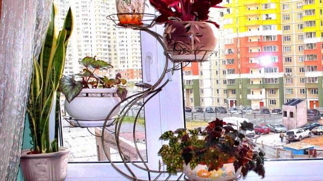 Биогумус для комнатных растений. смотреть онлайн