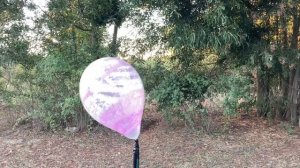 Looner B2P in the woods - 12” Pink graffity Sempertex Balloon