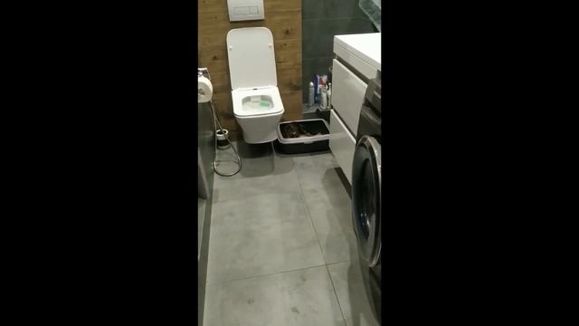 Yara Wild Benganelio в новой семье смотреть онлайн