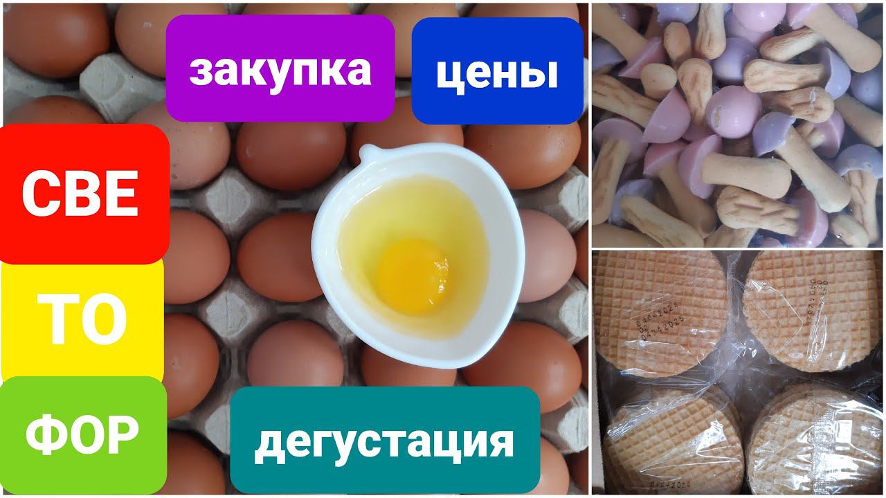 СВЕТОФОР//ЗАКУПКА//ЦЕНЫ//ДЕГУСТАЦИЯ
