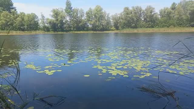 Рыбалка на реке Караман в Саратовской области. Пешком по России. #саратовскаяобласть