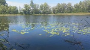 Рыбалка на реке Караман в Саратовской области. Пешком по России. #саратовскаяобласть