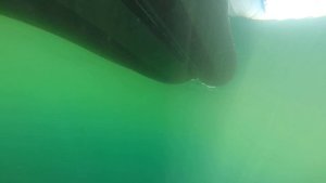 Морская рыбалка Треска. Подводная съёмка