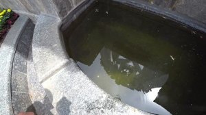 Сколько можно заработать денег собирая мелочь в фонтане ??