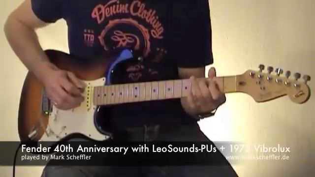 Fender 40th Anniversary with LeoSounds PUs + 1973 Vibrolux смотреть онлайн