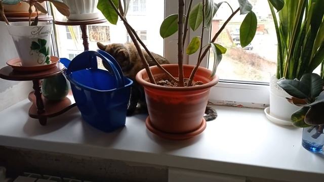 РЕАЛЬНАЯ ЖИЗНЬ/БЕЗ ПРИКРАС/НАШ ЗАВТРАК/МОЕМ ПОЛЫ ВМЕСТЕ С ДЕТЬМИ/ЕЖЕДНЕВНАЯ РУТИНА/БУДНИ МАМЫ ВЛОГ смотреть онлайн