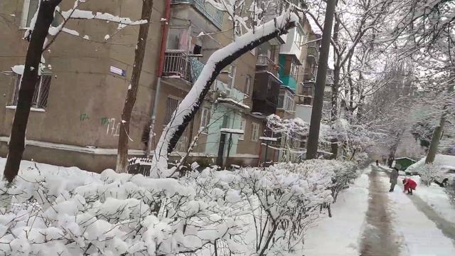 По просьбе подписчика. Одесса, ул.Варненская,17г. смотреть онлайн