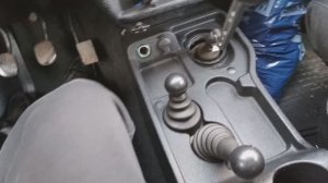 Нива налаживает интерьер и тишину