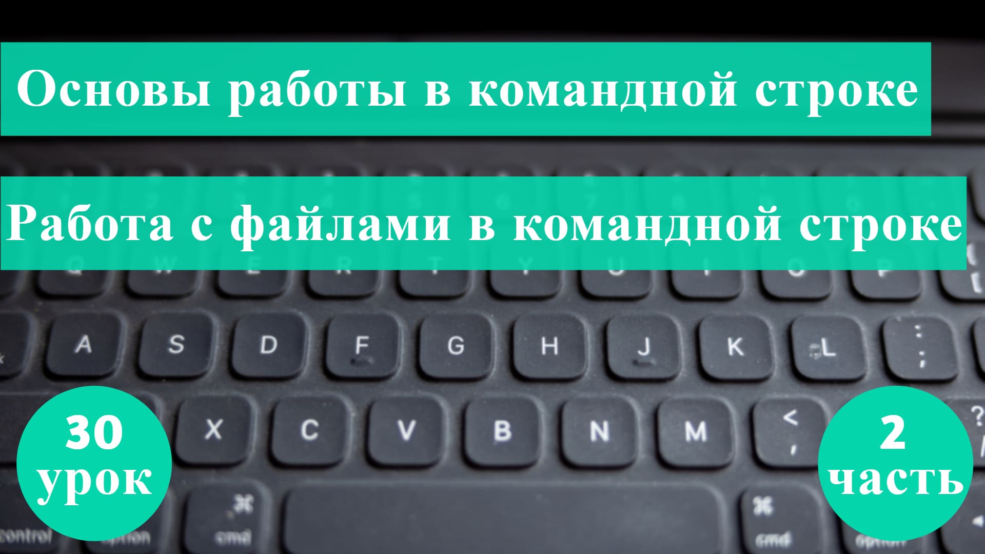 Курс Тестирование ПО с Нуля. 30 урок. Основы работы в командной строке. Часть 2: Работа с файлами