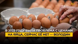 В 2023 году была проблема с ценами на яйца, сейчас ее нет — Володин