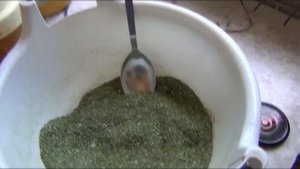 Сушим ПЕТРУШКУ