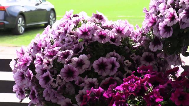 CAST 22: Suntory смотреть онлайн