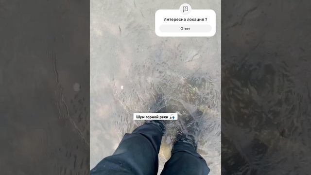 Прекрасный день 🎣 #голавль #рыбалка #форель #daiwa смотреть онлайн