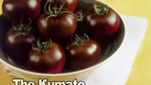 Kumato Tomato
