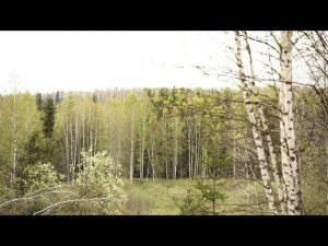 Новый туристический маршрут появится в будущем национальном парке Тогула