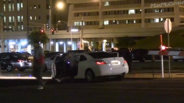 Толстый песик приколы MMS #7 смотреть онлайн