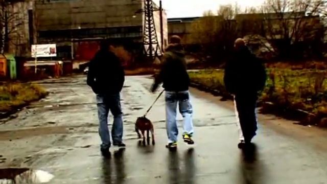 Quadro-Старые Районы смотреть онлайн