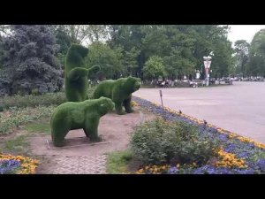 Майкоп .Центр 24.04.24