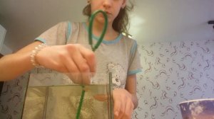 Как мыть аквариум рыбки