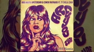 Kris Kross Amsterdam & Conor Maynard - Are you sure? Ft.TY Dolla $ign (DSS Remix)