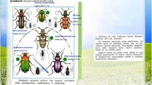 Задание 2 Кто такие насекомые? - Окружающий мир 1 класс (Плешаков А.А.) 1 часть