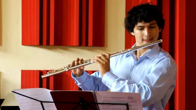 F. Schubert - Variations for Flute and Piano in E minor смотреть онлайн