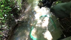 Первая платина сезона!!! ПЛАТИНА!!!