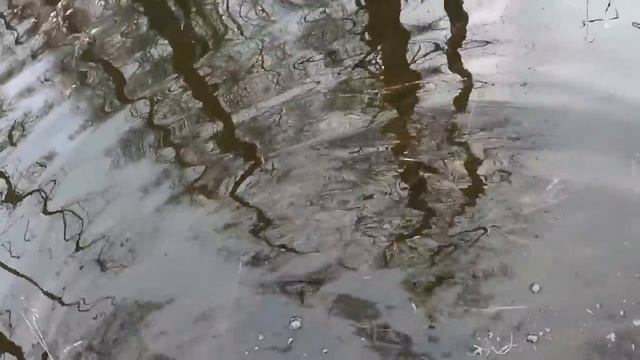 ВЕСНА 2023. КЛАССИКА ВЕСЕННЕЙ ОХОТЫ. ОХОТА НА СЕЛЕЗНЯ С ПОДСАДНОЙ / MAX HUNTER смотреть онлайн