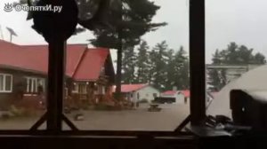 Зрелищный удар молнии в дерево