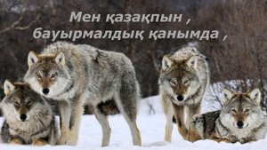 Мен қазақтың баласымын! - Інімнің орындауында(Сұңқар тобының әні) / (Караоке,плюс))