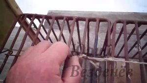 Ловушка для кроликов