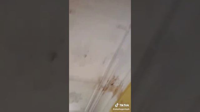 Трэш комуналка, наконец сдали комнату в аренду 🤦♂️Вся квартира под расселение