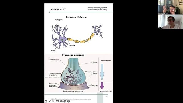 [СМЫСЛОВАЯ ДОМИНАНТА]  §31. Методологические разборы.