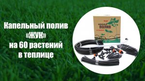 Капельный полив "Жук" в теплице // Sony AS300 | X3000