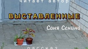 ВЫСТАВЛЕННЫЕ