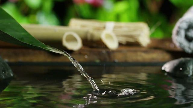 Tranquil Oasis: Creating a DIY Water Bamboo Fountain смотреть онлайн