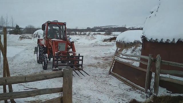 Овцы в нашем хозяйстве смотреть онлайн