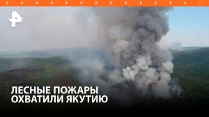 Лесные пожары охватили почти 29 тысяч гектаров в Якутии / РЕН Новости