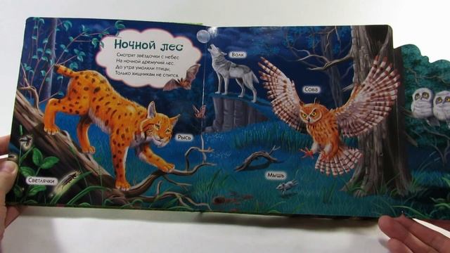 Книга интерактивная говорящая в шумном лесу