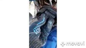 Пропадает тормащная жидкость с бочка! Ремонт  Daewoo nexia