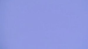 Будапештские голуби №2