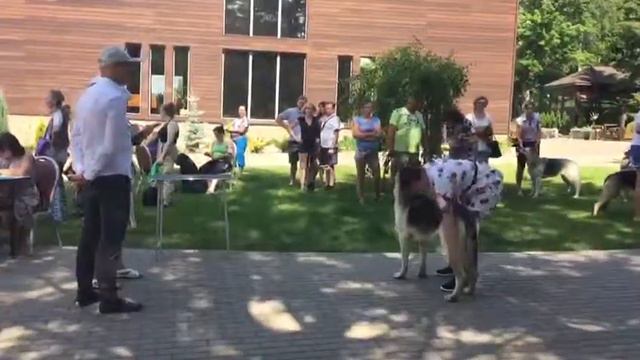 международная выставка СКОР Тула смотреть онлайн