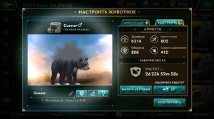 Открытие всех сундуков (с голосом Яны Прико) в Wolf Tales