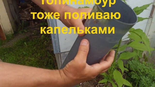 Капельный полив своими руками (для дачника выходного дня) смотреть онлайн