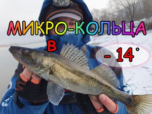 ЛОВЛЯ В МОРОЗ НА МИКРО-КОЛЬЦА ! Зимняя рыбалка ! Ультралайт !
