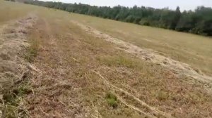 Прф -145 ,прессование сено в рулоны ,погрузка рулонов в прицеп 2птс 4,5