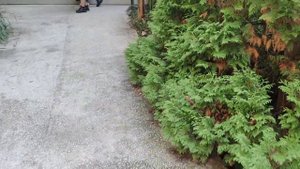 Посещение дендрариума в городе Сочи.